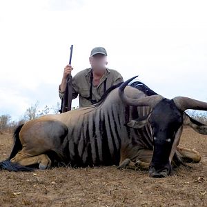 Niassa Wildebeest Tanzania Hunting