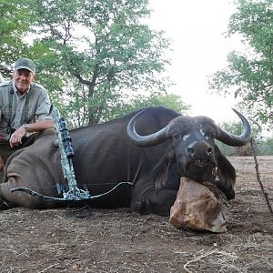 Cape Buffalo Cow South Africa Crossbow Hunt