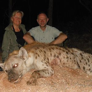 South Africa Spotted Hyena Hunt