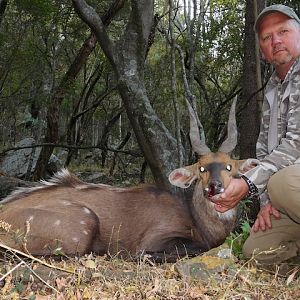 Bushbuck  Hunting South Africa