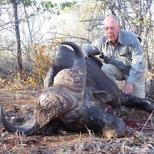 Hunt South Africa Cape Buffalo