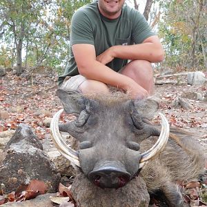 South Africa Warthog Hunt