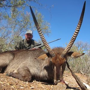 Waterbuck South Africa Hunt