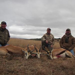 Springbok Hunting South Africa