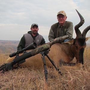 Red Hartebeest Hunt South Africa