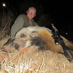 South Africa Bushpig  Hunting