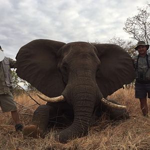 Zimbabwe Hunting Elephant