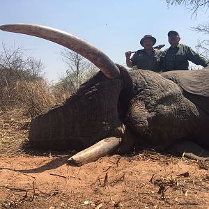 Zimbabwe Hunting Elephant