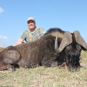 Black Wildebeast South Africa