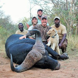 Bow Hunting South Africa Cape Buffalo