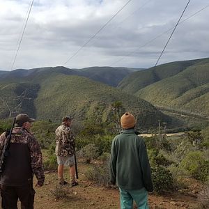 Hunting South Africa | AfricaHunting.com