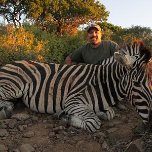 Hunt Burchell’s Plain Zebra in South Africa