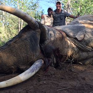 Zimbabwe Hunting Elephant