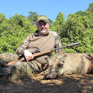 South Africa Warthog Cull Hunting