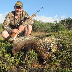 Hunt African Porcupine