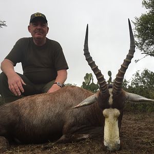 South Africa Blesbok Hunt