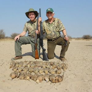Namibia Bird Hunting Sandgrouse