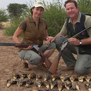 Bird Hunting Sandgrouse Namibia