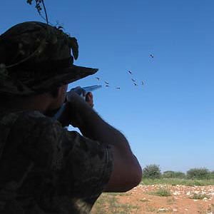 Namibia Bird Hunting
