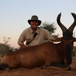 Red Hartebeest Hunting in Namibia