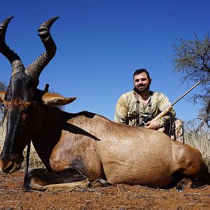 Red Hartebeest Hunting in Namibia