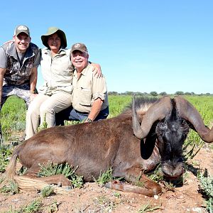 Hunting Namibia Black Wildebeest