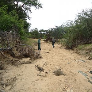 Riverbed Zimbabwe Area