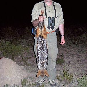 Hunt South Africa Jackal