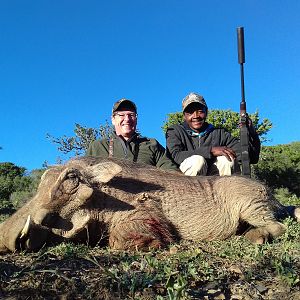 Cull Hunting Warthog in South Africa