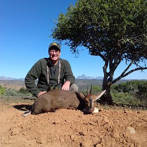 Cull Hunting Duiker South Africa