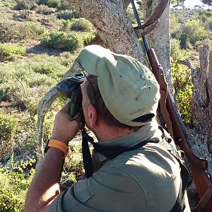 Hunting South Africa Glassing Game