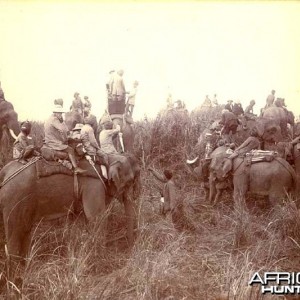 His Imperial Majesty's Shoot, Nepal 1911