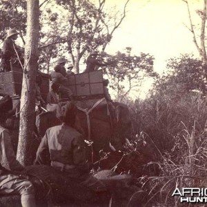 His Imperial Majesty's Shoot, Nepal 1911