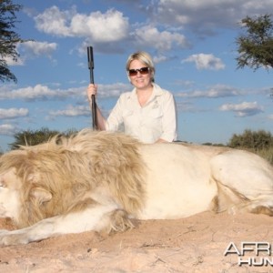 Big mane Lion hunted in South Africa