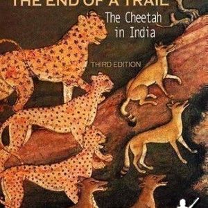 The End of Trail: The Cheetah in India (third edition)