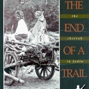 The End of Trail: The Cheetah in India (hard book)