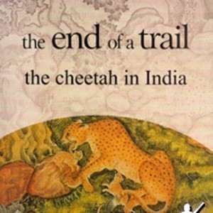 The End of Trail: The Cheetah in India (paperback)