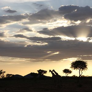 Sunset Namibia