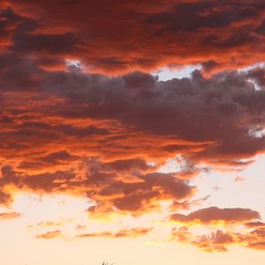 Namibian sky