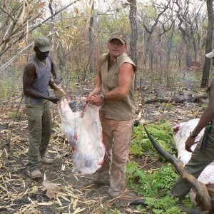 Skinning Derby eland CAR