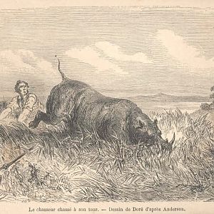 1860 Print - Hunting the Hunter Africa