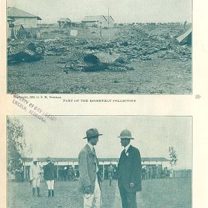 1909 - Theodore Roosevelt Hunting in Africa