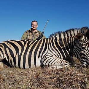 Burchell's Plain Zebra South Africa Hunt