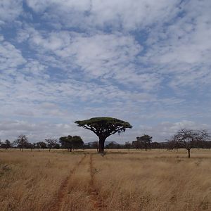 Panoramic View Tanzania