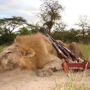 Hunting lion in Tanzania