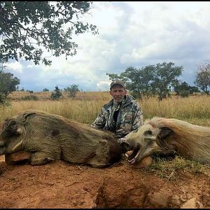 South Africa Bushpig Hunting