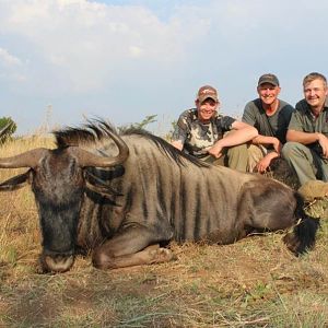 Blue Wildebeest Hunting in South Africa