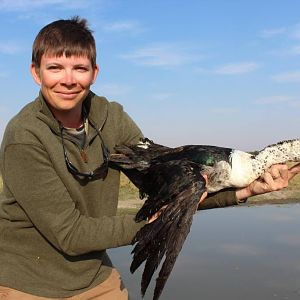 Geese Bird Hunting South Africa