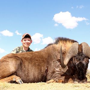 Hunting South Africa Black Wildebeest