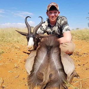 South Africa Black Springbok Hunting